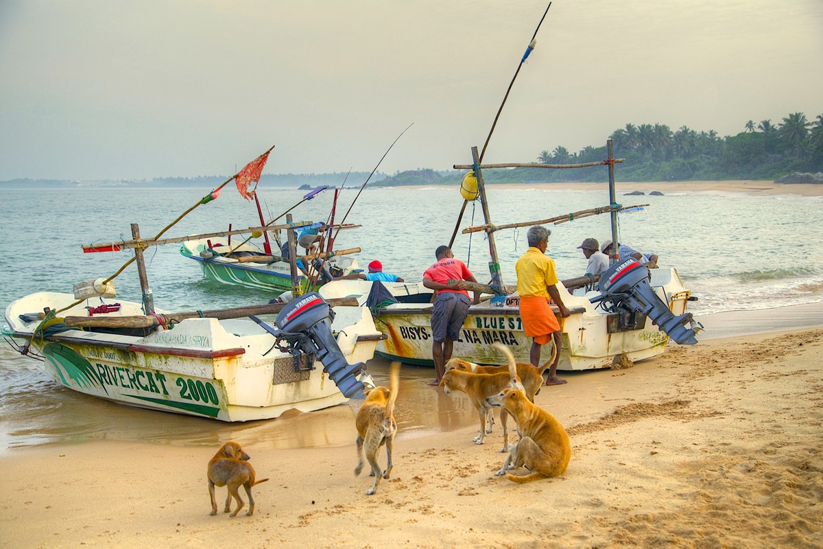 Thời điểm tốt nhất để đi du lịch Sri Lanka