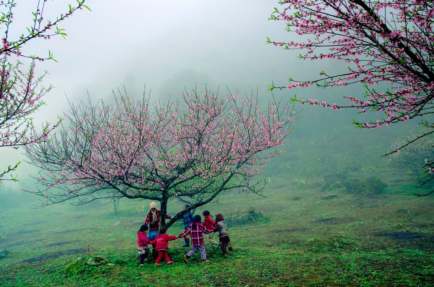 Kinh nghiệm du lịch Mộc Châu