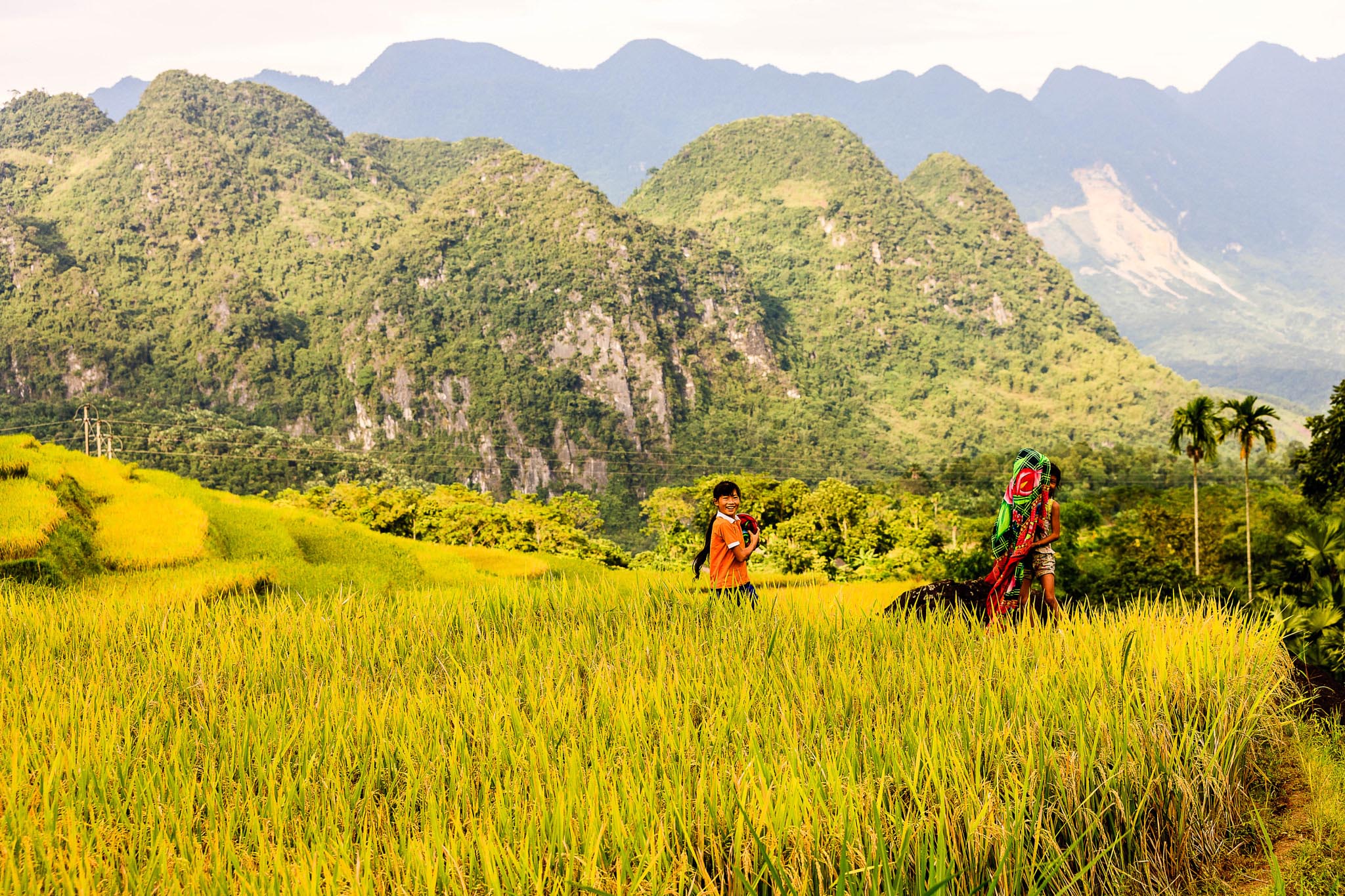 Pù Luông mùa lúa chín, mê mẩn vẻ đẹp Tây Bắc