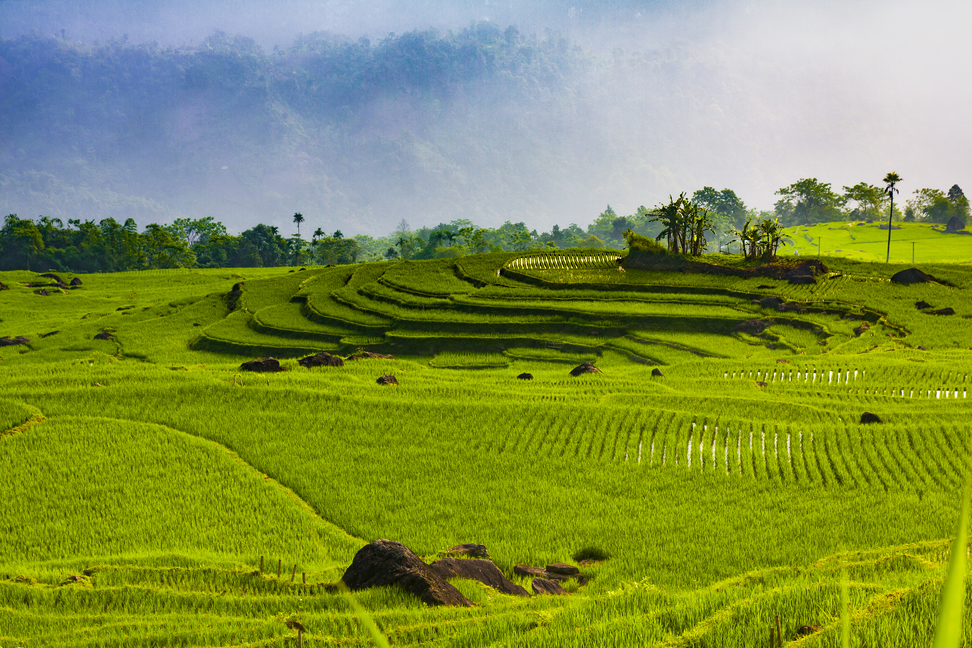 Đến Pù Luông mùa lúa xanh tránh nóng