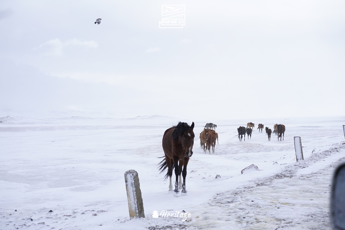 Phiêu lưu trong tuyết lạnh đầu đông ở Kyrgyzstan