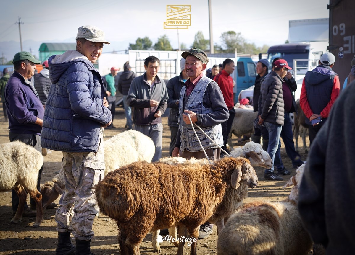 Chợ phiên động vật ở Kyrgyzstan