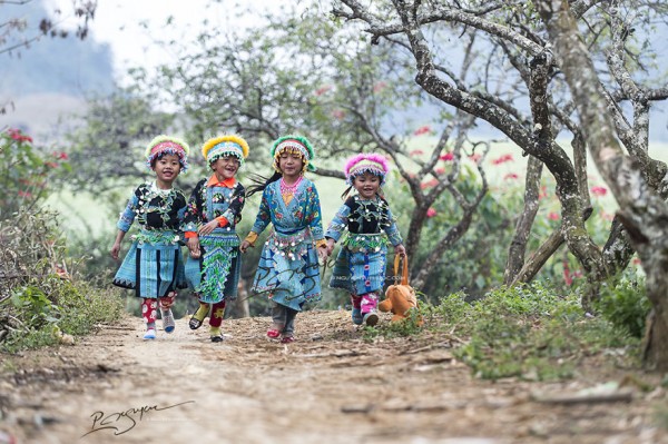 tet-nguoi-hmong