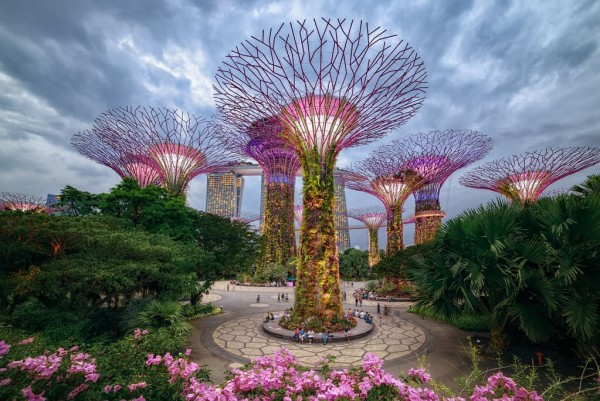 Vườn cây khổng lồ tại Singapore