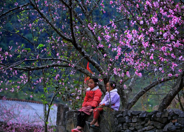 Mùa xuân tại Hà Giang